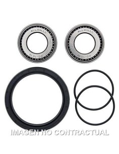 Kit de rodamientos rueda All Balls 25-1008