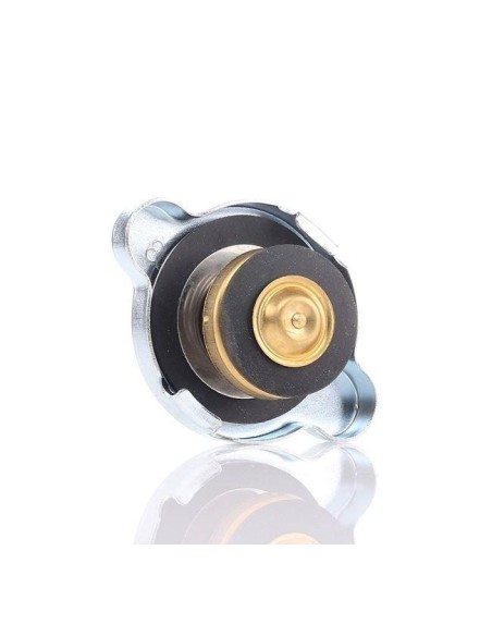 tapon radiador piaggio