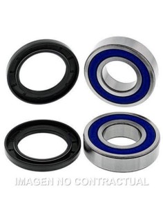 Kit de rodamientos rueda All Balls 25-1697