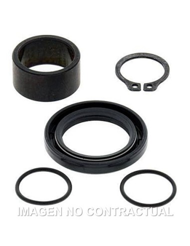 Kit de revisión piñón de salida All Balls 25-4018