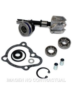 Kit Reparación Bomba De Agua Kymco B&W 250