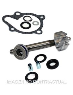 Kit Reparación Bomba De Agua Kymco Dink 125/200