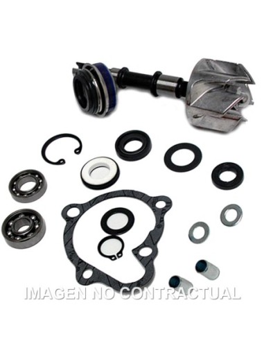 Kit Reparación Bomba De Agua Kymco Xciting 250