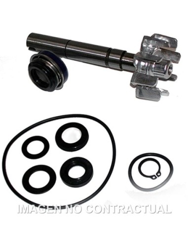 Kit Reparación Bomba De Agua Kymco Xciting 500