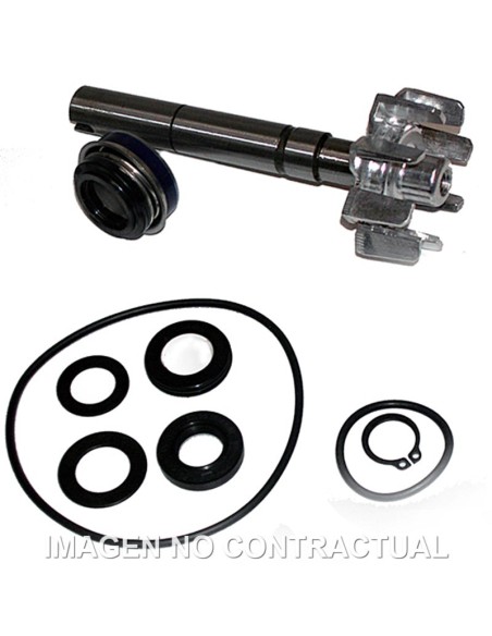 Kit Reparación Bomba De Agua Kymco Xciting 500
