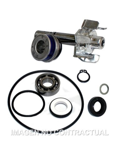 Kit Reparación Bomba De Agua T-Max 500 (01-03)