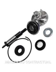 Kit Reparación Bomba De Agua Honda SH300