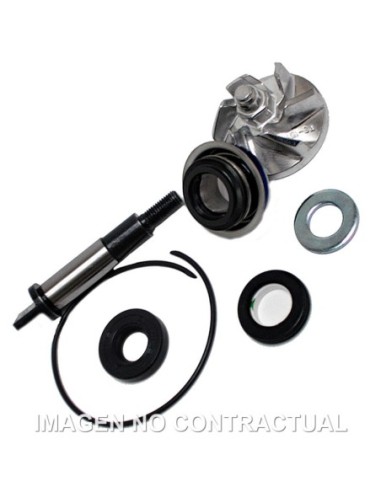 Kit Reparación Bomba De Agua Honda SH300