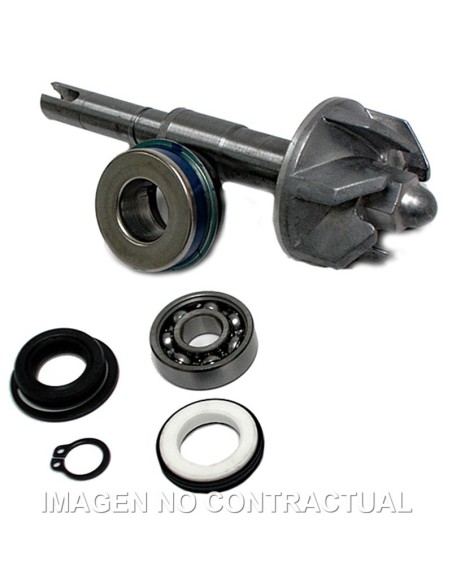 Kit Reparación Bomba De Agua Honda SH125 / PS125