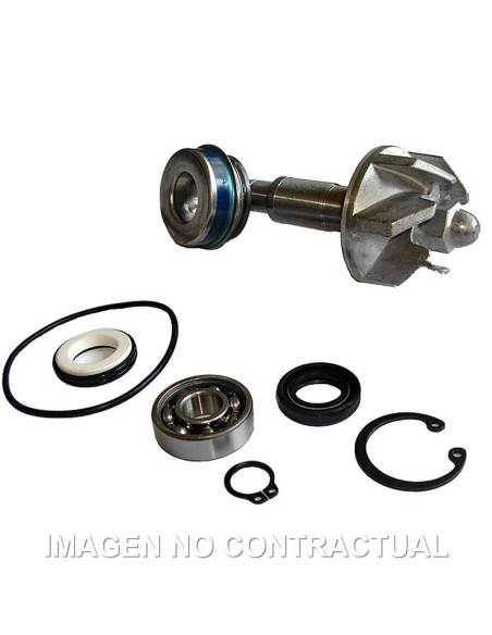 Kit Reparación Bomba De Agua Honda Pantheon