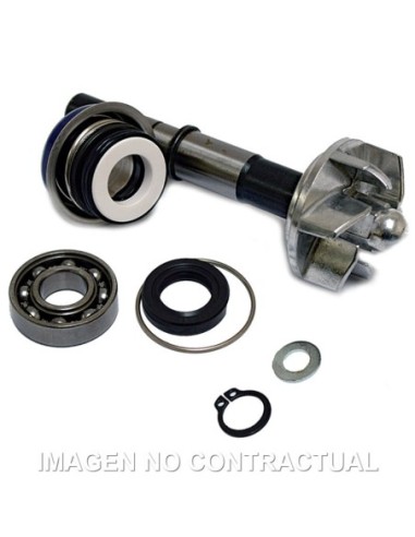 Kit Reparación Bomba De Agua Daelim S3