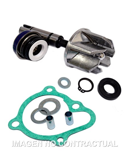 Kit Reparación Bomba De Agua Kymco Super Dink 300