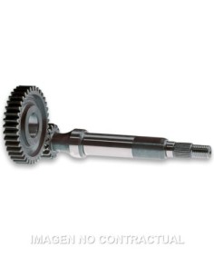 Desarrollo Primario Largo PGO Comet 50