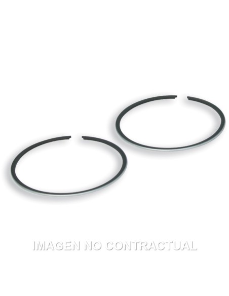 Segmentos D.41 mm Address