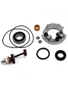 kit revision motor de arranque con portaescobillas 04178491
