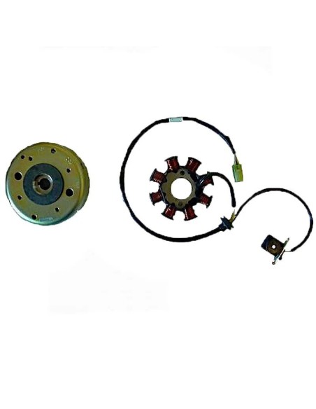 volante magnetico 8 polos 12v motor kymco 125 150 04163563