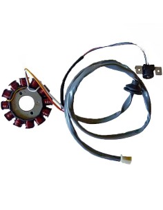stator sgr 12 polos con pick up 2 cables motor yam 04163073