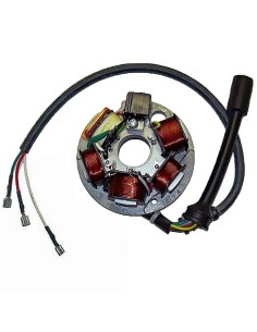stator sgr 6 polos piaggio ape con base 04199500