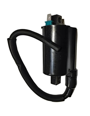 bobina kymco people one 12v cc 2 7 ohm 2 fastons c 04162400