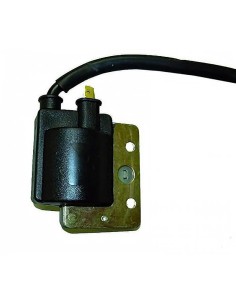 bobina 6v 1 20 ohm 1 faston con cable 04113997