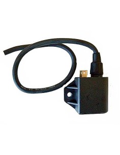 centralita electronica 2 fastons 04401200