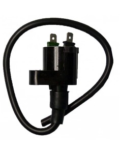 bobina 12v 0 30 ohm 2 fastons 04124741