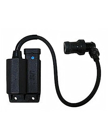 cdi motor piaggio 100 4t 04168220