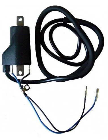 bobina 12v cc 4 0 ohm 2 fastons con cable 04004761