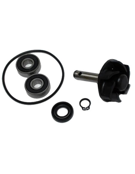 kit reparacion bomba de agua motor minarelli 50 37282001