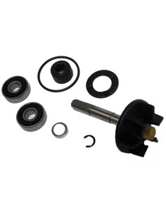 kit reparacion bomba de agua piaggio 50 37282003