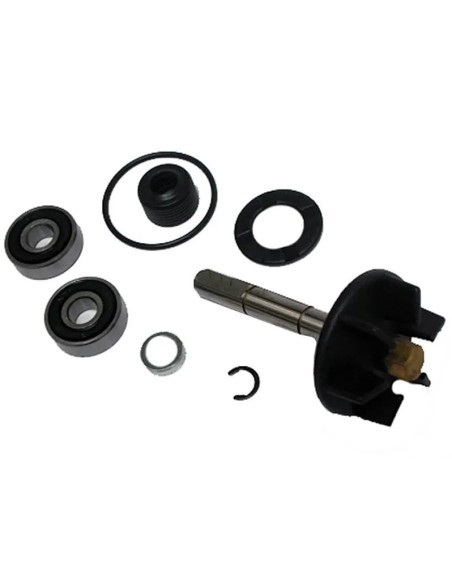 kit reparacion bomba de agua piaggio 50 37282003