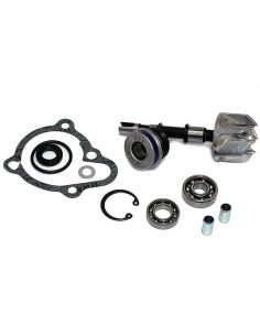 kit reparacion bomba de agua kymco byw 250 37282008