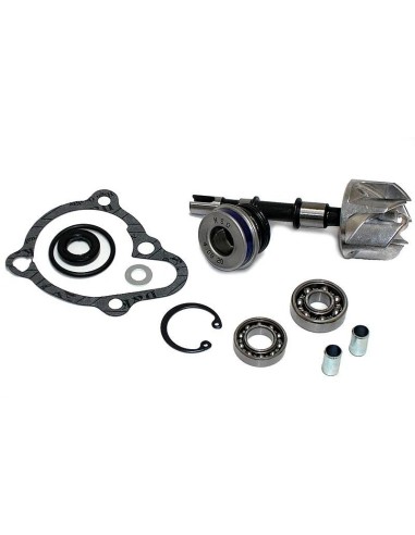 kit reparacion bomba de agua kymco byw 250 37282008
