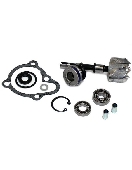 kit reparacion bomba de agua kymco byw 250 37282008
