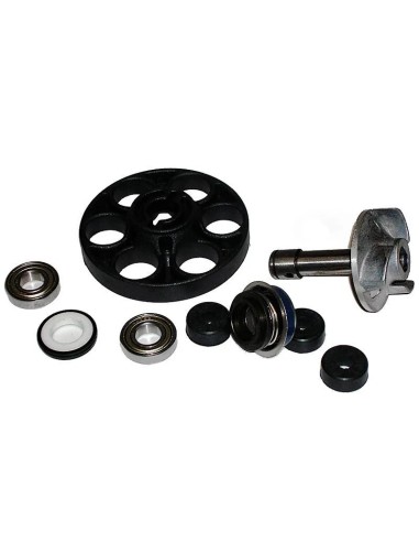 kit reparacion bomba de agua aprilia sr 50 ditech 37282009