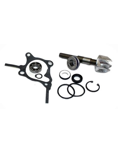 kit reparacion bomba de agua honda foresight 250 37282010