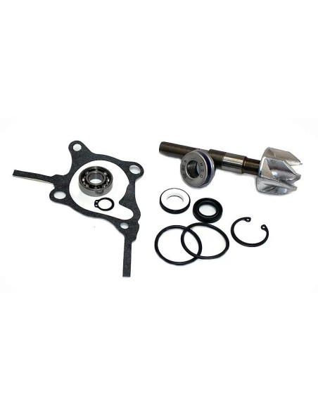 kit reparacion bomba de agua honda foresight 250 37282010