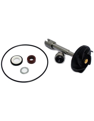 kit reparacion bomba de agua piaggio beverly 500 37282011