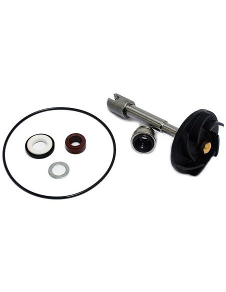 kit reparacion bomba de agua piaggio beverly 500 37282011