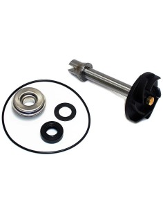 kit reparacion bomba de agua piaggio mp3 500 37282012
