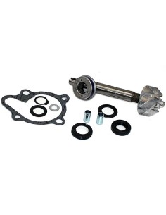 kit reparacion bomba de agua kymco dink 125 200 37282014