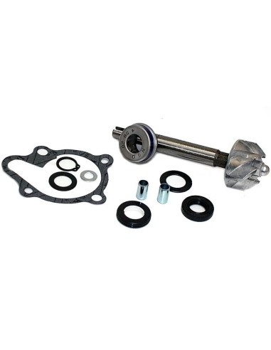 kit reparacion bomba de agua kymco dink 125 200 37282014