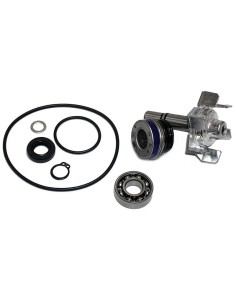 kit reparacion bomba de agua t max 500 04 11 37282018