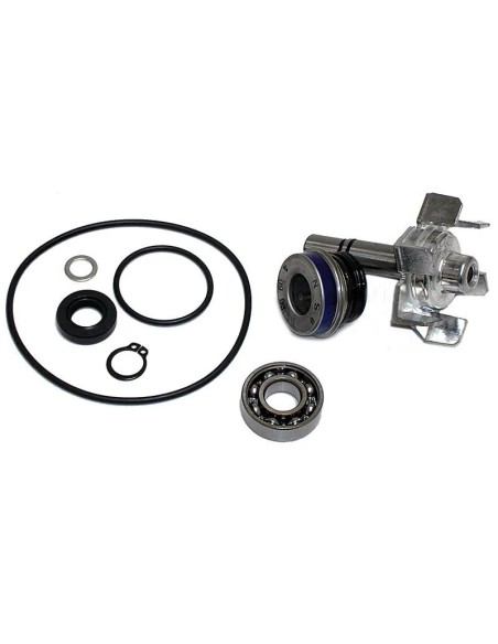 kit reparacion bomba de agua t max 500 04 11 37282018