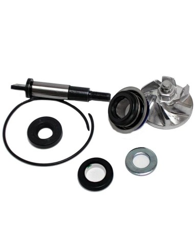 kit reparacion bomba de agua honda sh300 37282019