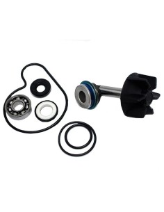 kit reparacion bomba de agua suzuki burgman 250 37282025