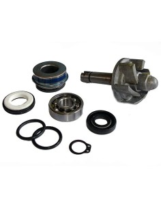 kit reparacion bomba de agua aprilia leonardo 250 37282028