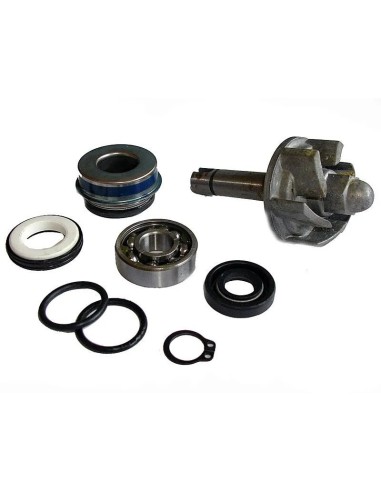 kit reparacion bomba de agua aprilia leonardo 250 37282028