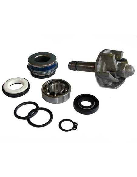 kit reparacion bomba de agua aprilia leonardo 250 37282028