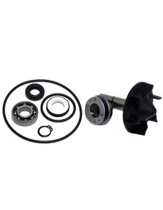 kit reparacion bomba de agua yamaha t max 530 37282030